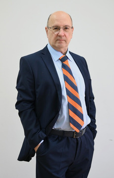 prof. dr Zoran Krstić